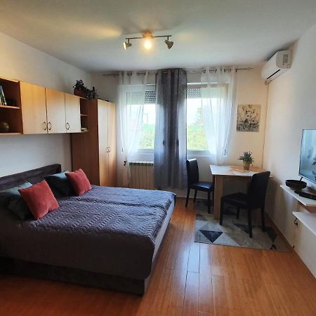 Apartman 64 - Besplatan Parking Za Goste Novi Sad Eksteriør bilde
