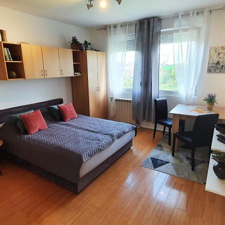 Apartman 64 - Besplatan Parking Za Goste Novi Sad Eksteriør bilde