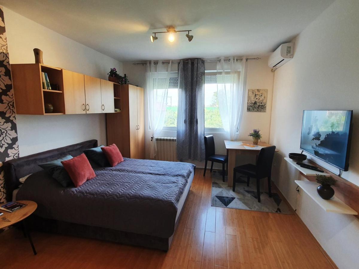 Apartman 64 - Besplatan Parking Za Goste Novi Sad Eksteriør bilde