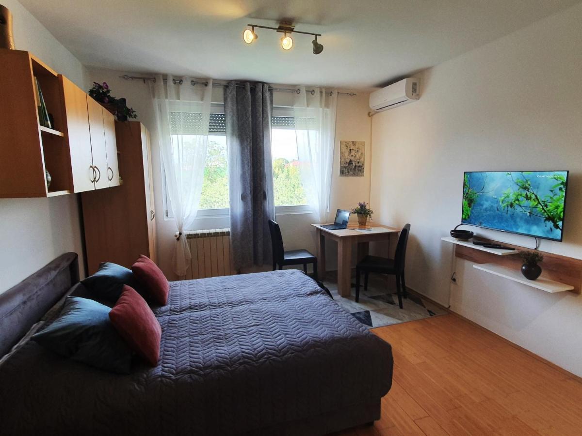 Apartman 64 - Besplatan Parking Za Goste Novi Sad Eksteriør bilde